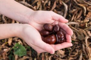 Donna che tiene in mano una manciata di castagne