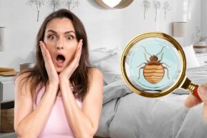 donna spaventata letto insetto