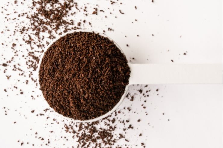 fondi di caffè